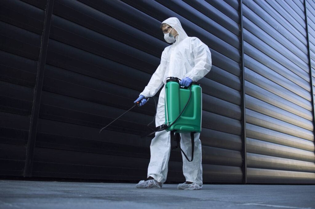 all pests removal