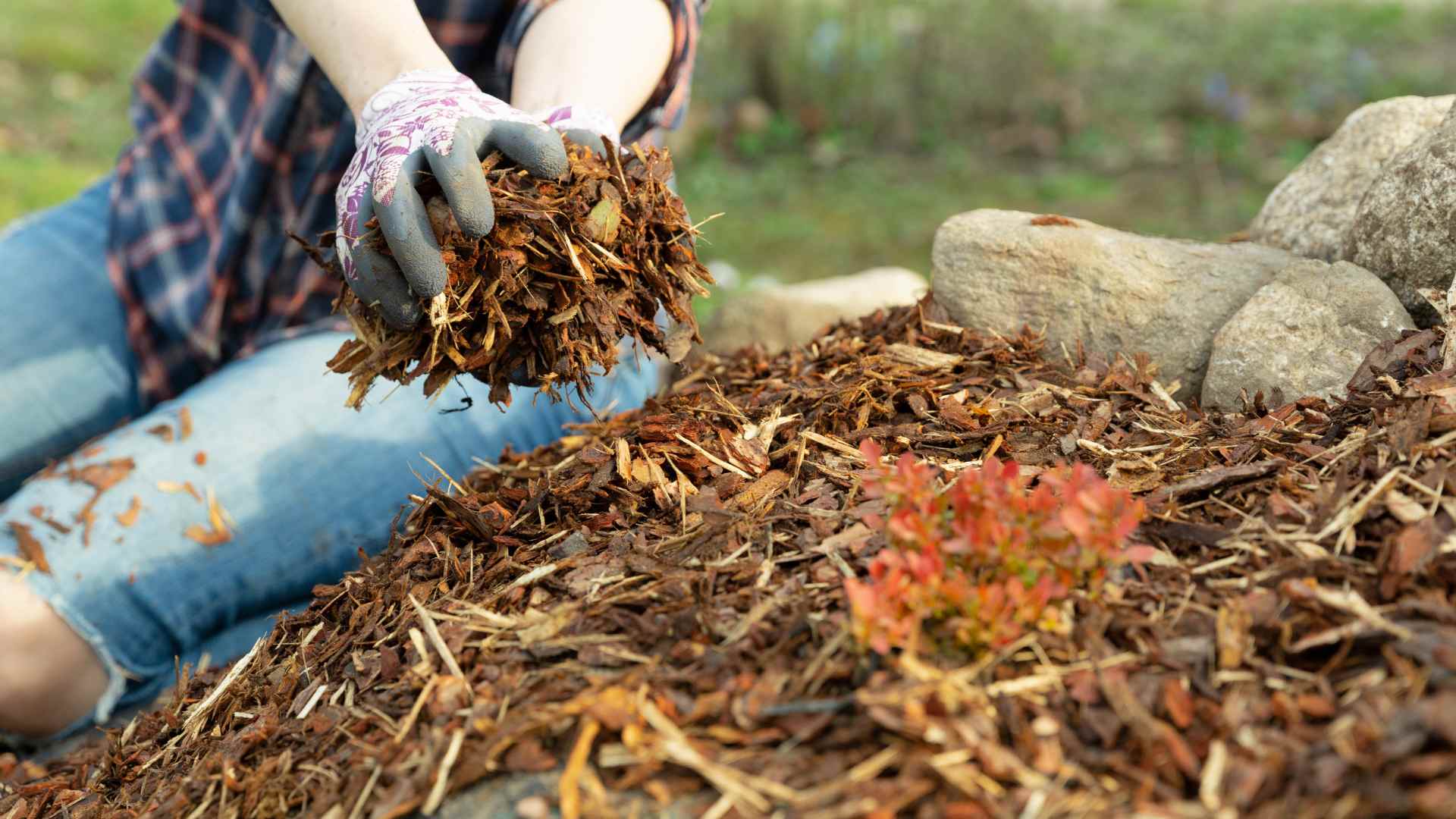 harrys yard tree mulching