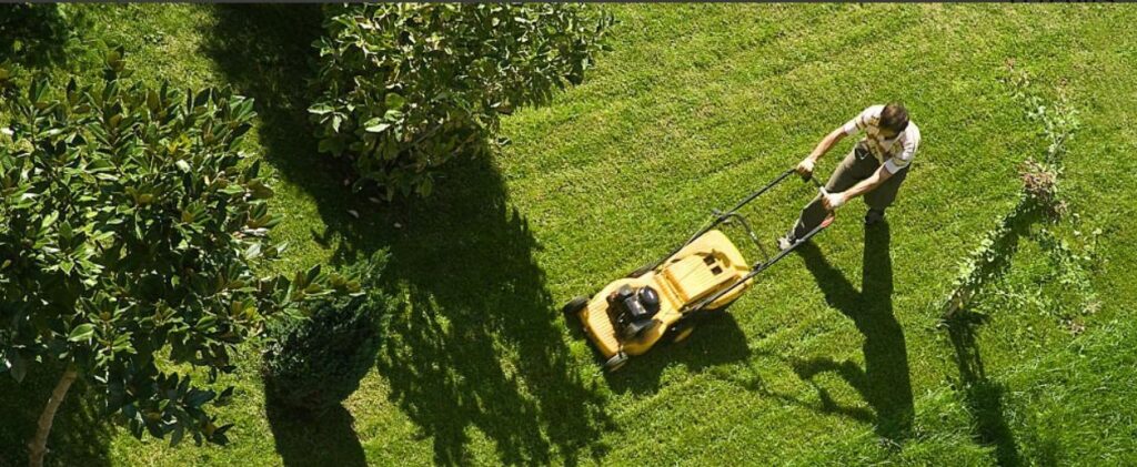 melbourne's premier lawn mowing services our top picks