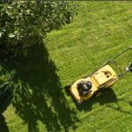 melbourne's premier lawn mowing services our top picks