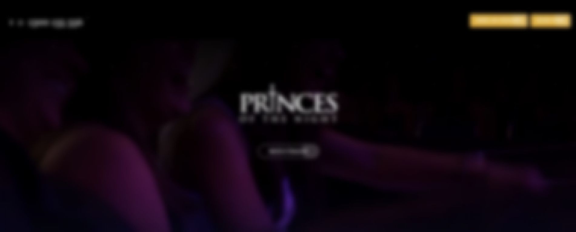 princes of the night male strippers melbourne