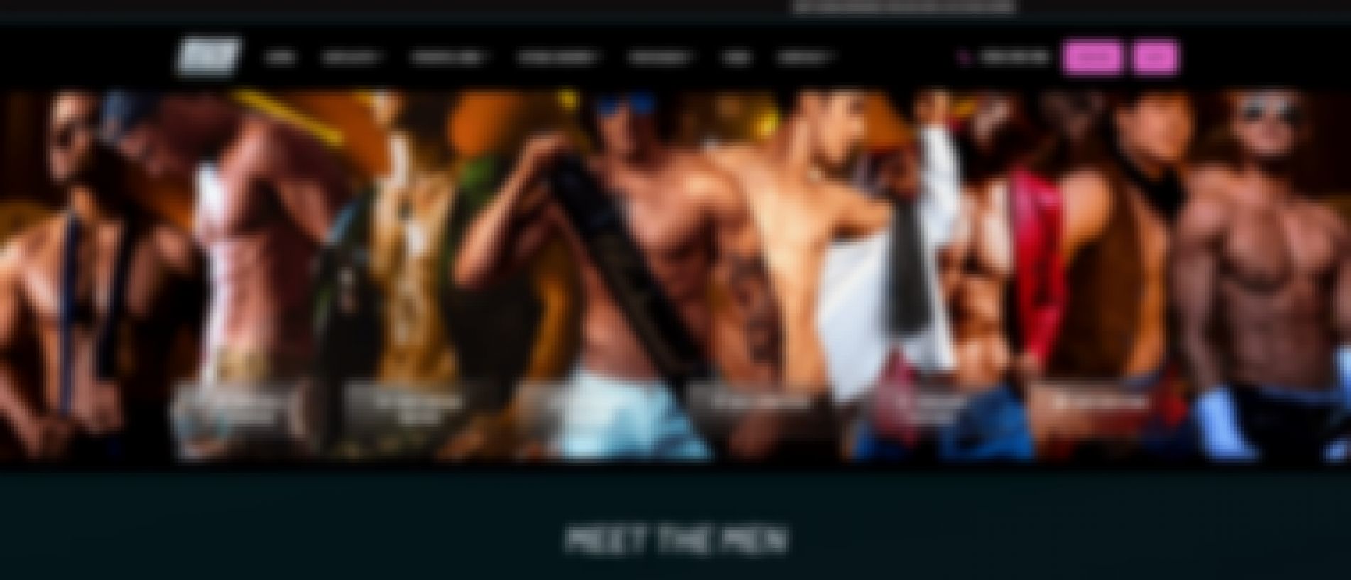 sky strippers male strippers melbourne