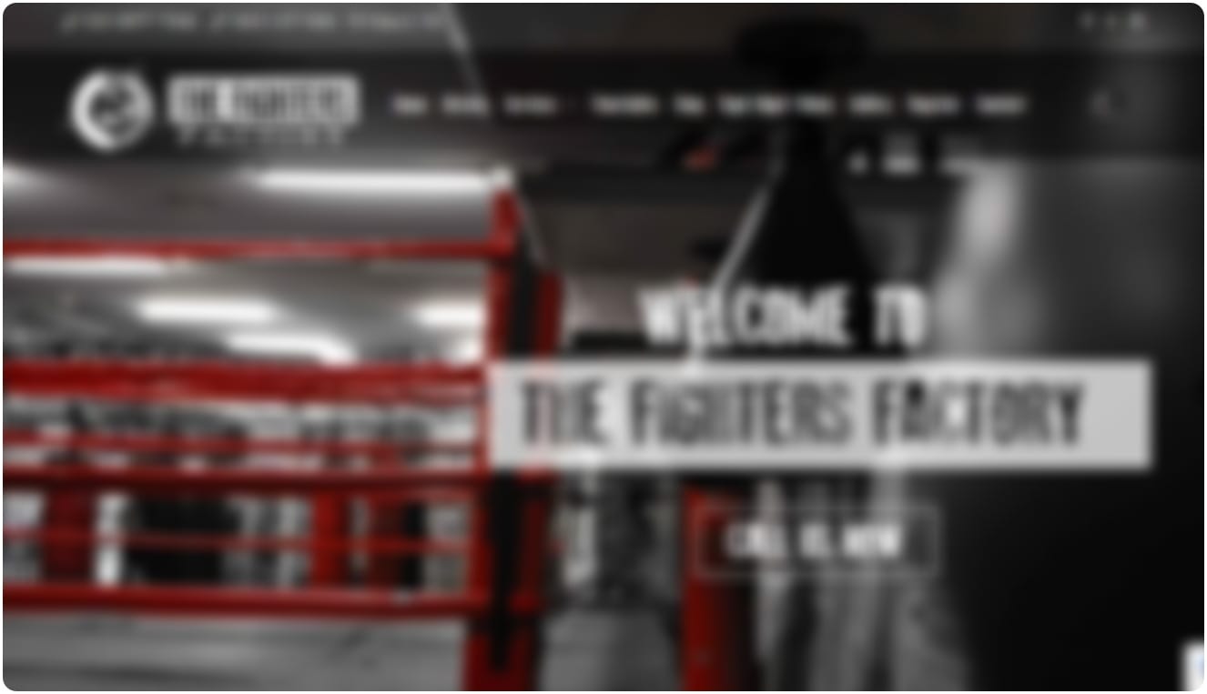 the fighters factory