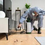 top 10 building & pest inspections in melbourne, victoria