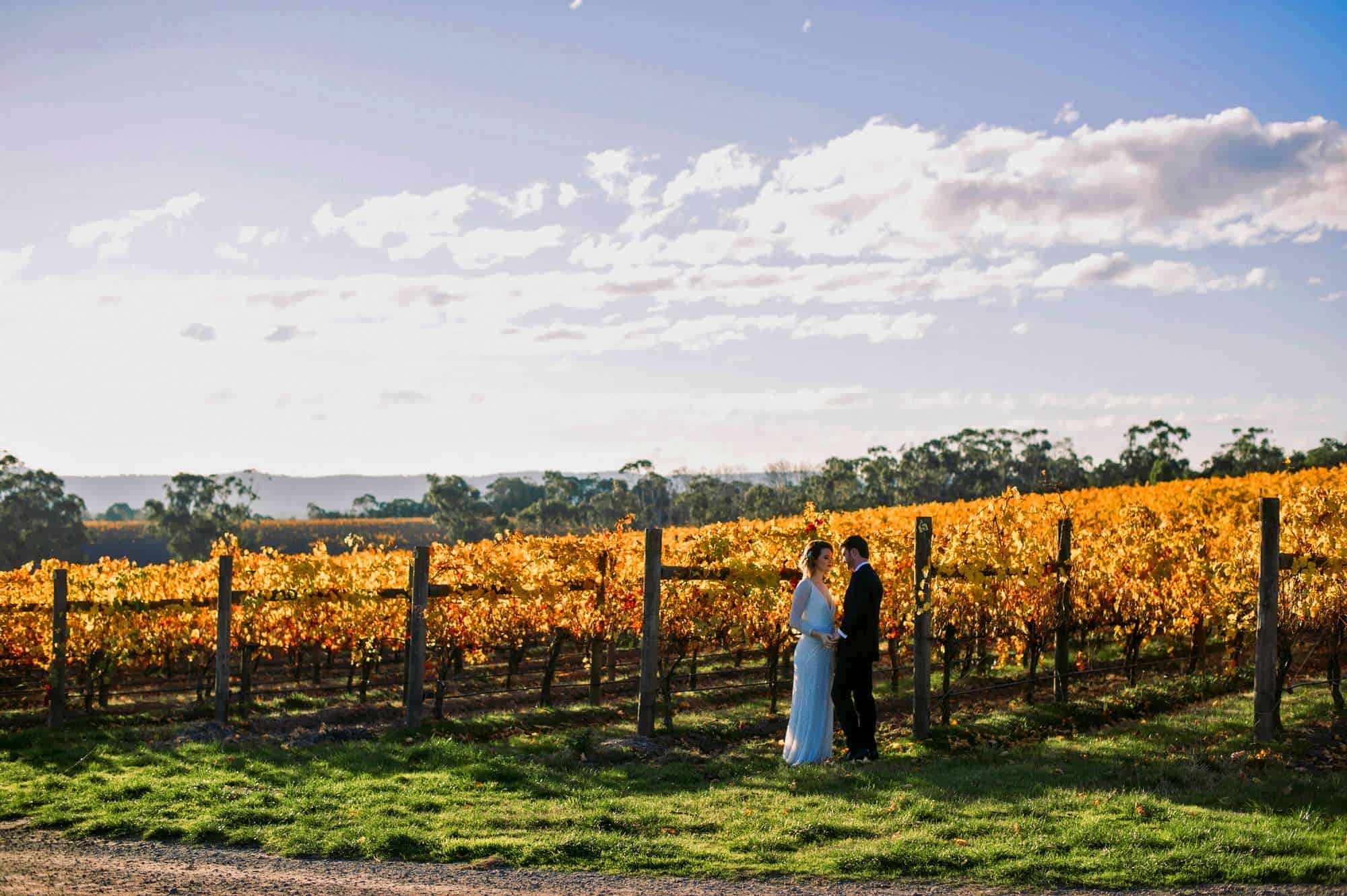 vines of the yarra valley wedding couple