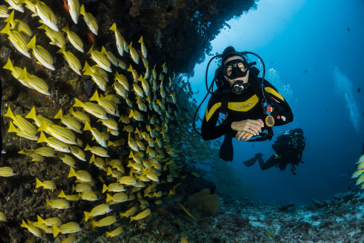 what are the scuba dive sites in melbourne (3)