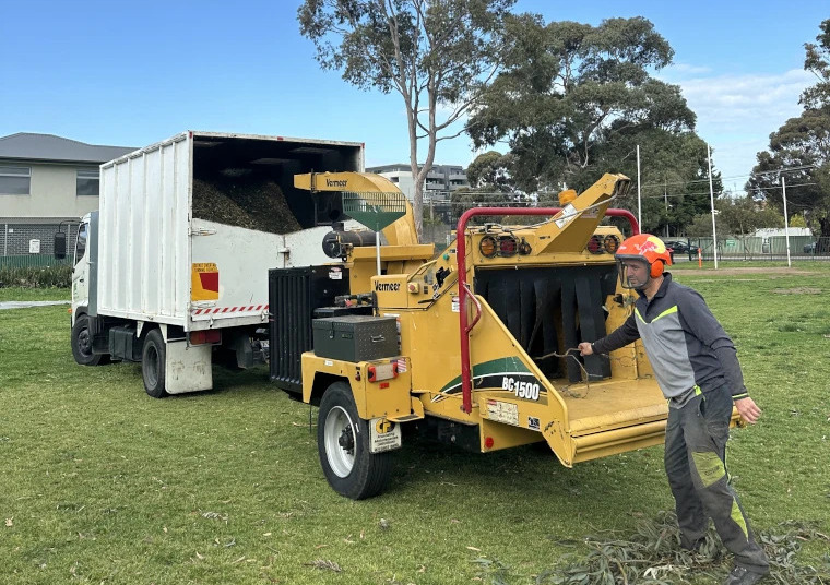 ecosafe tree removal